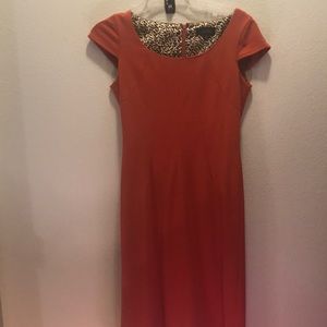 Tahari: Orange pencil dress